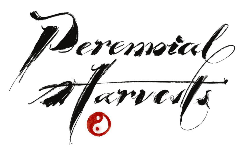 Logo (Calligraphy/Writing by @aryieka)