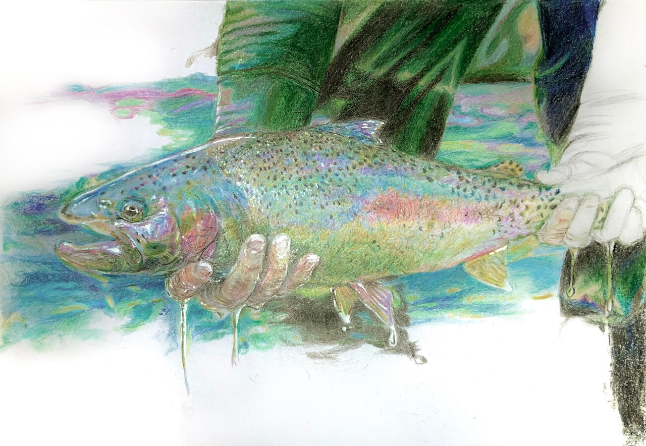 Color pencil on sketch paper